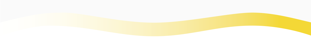 Dividing Line_Footer_bottom